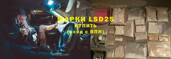 ПСИЛОЦИБИНОВЫЕ ГРИБЫ Магас