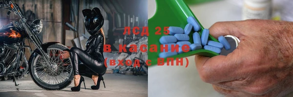 гашик Майский