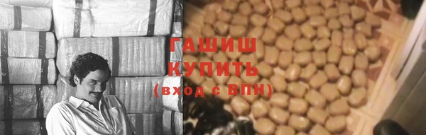 гашик Майский