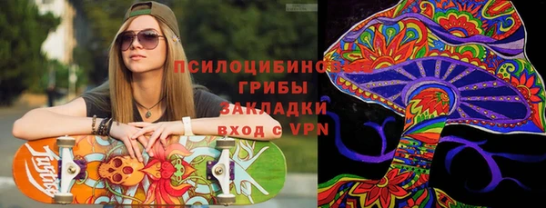 гашик Майский