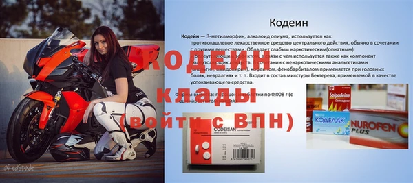 гашик Майский