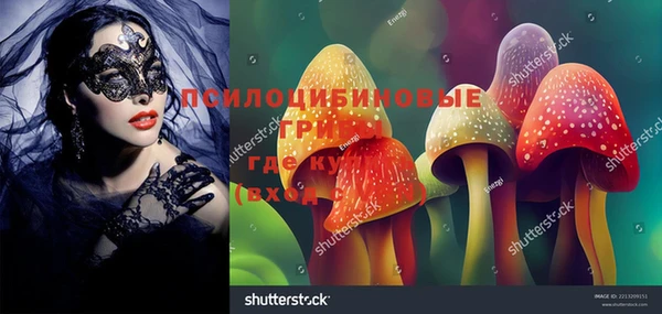 гашик Майский