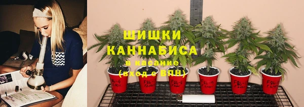ПСИЛОЦИБИНОВЫЕ ГРИБЫ Магас