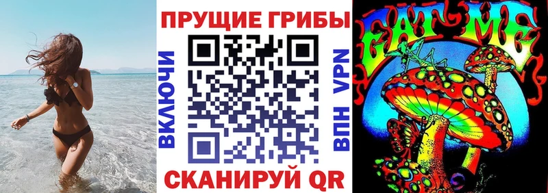 Псилоцибиновые грибы Psilocybe Минусинск
